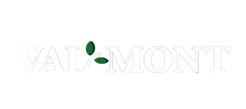 Valmon